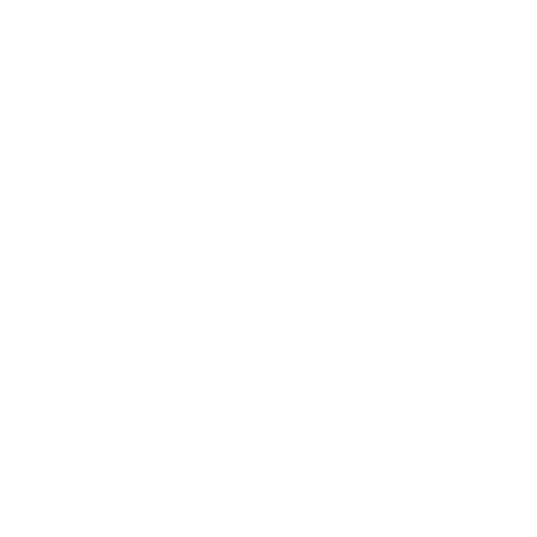 DPA logo_White transpartent
