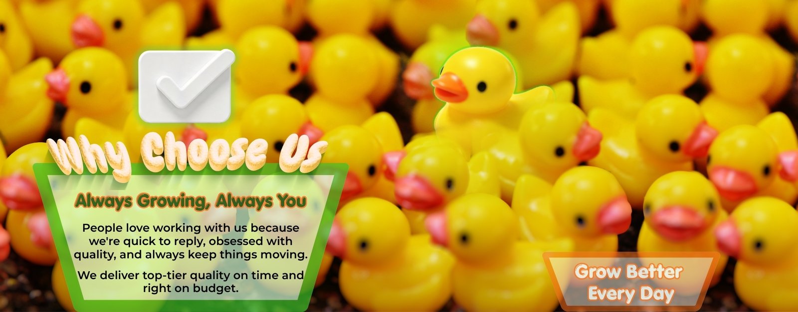 Why Choose Us
