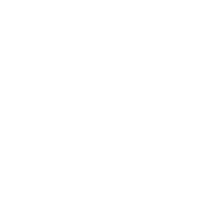 ngo-icon2.png